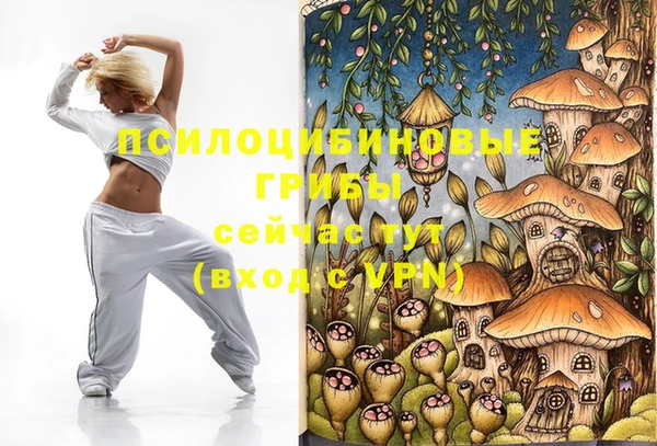 амф Алзамай