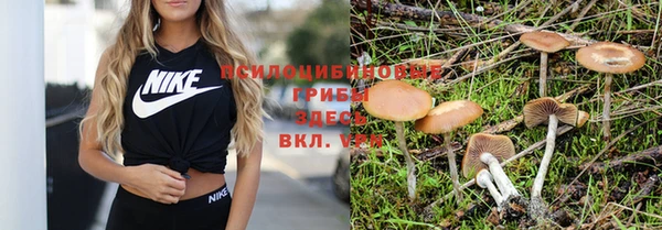 амф Алзамай